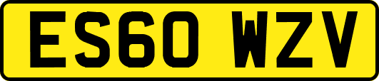 ES60WZV