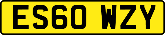 ES60WZY