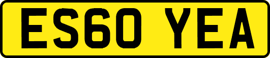 ES60YEA