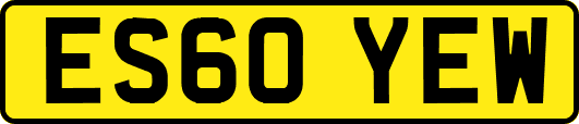 ES60YEW