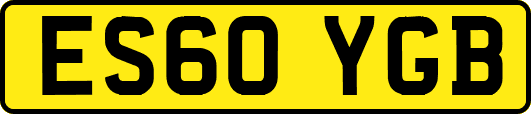 ES60YGB