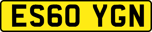 ES60YGN