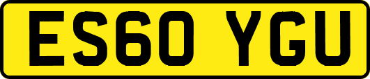 ES60YGU