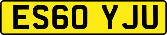 ES60YJU