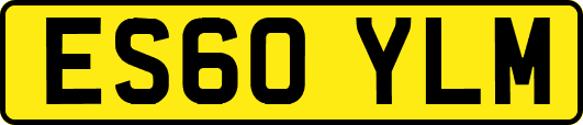 ES60YLM