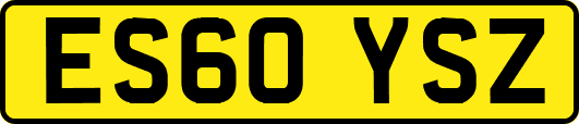 ES60YSZ