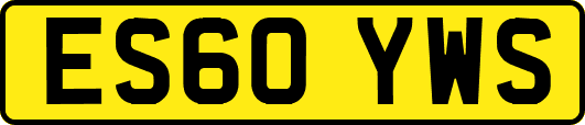 ES60YWS