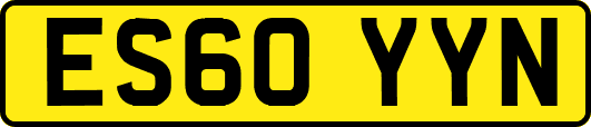 ES60YYN