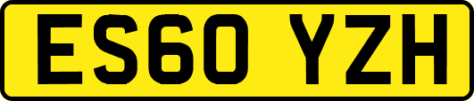 ES60YZH