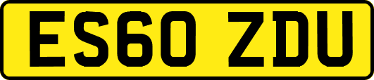 ES60ZDU