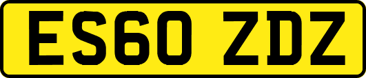 ES60ZDZ