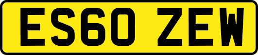 ES60ZEW