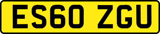 ES60ZGU