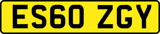 ES60ZGY