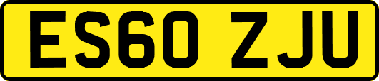 ES60ZJU