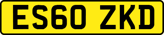 ES60ZKD