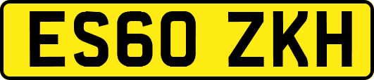 ES60ZKH