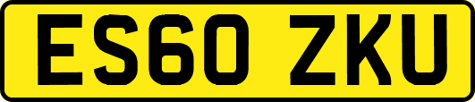 ES60ZKU