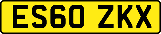 ES60ZKX