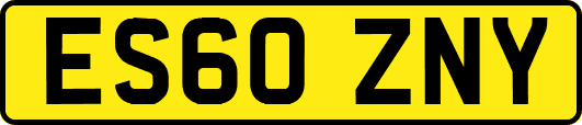 ES60ZNY