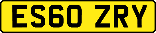 ES60ZRY