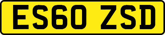 ES60ZSD