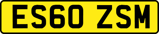 ES60ZSM