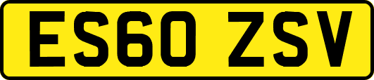 ES60ZSV