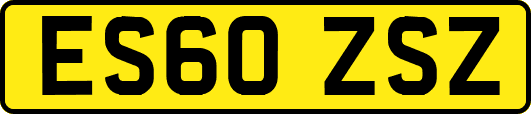 ES60ZSZ