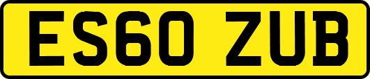 ES60ZUB