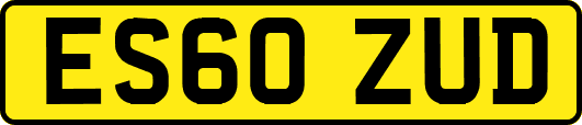 ES60ZUD