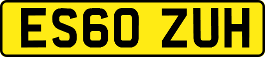 ES60ZUH