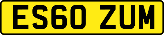 ES60ZUM