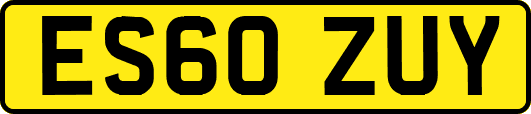 ES60ZUY