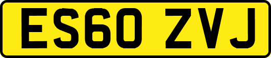 ES60ZVJ