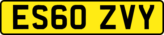 ES60ZVY