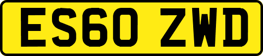 ES60ZWD