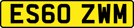 ES60ZWM