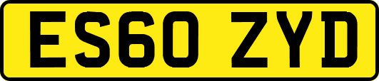 ES60ZYD