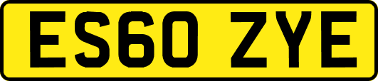 ES60ZYE