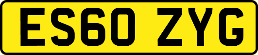 ES60ZYG