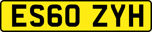 ES60ZYH
