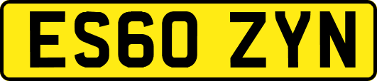 ES60ZYN