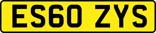 ES60ZYS