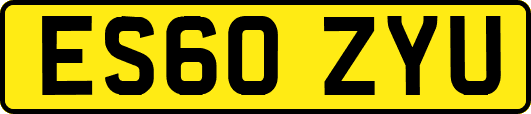 ES60ZYU