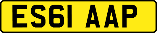 ES61AAP