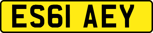ES61AEY