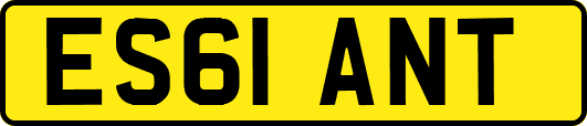 ES61ANT