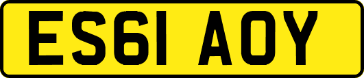 ES61AOY
