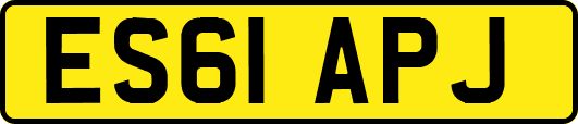 ES61APJ